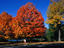 Image_5362-18