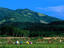 Image_5364-17