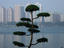 Image_5378-1