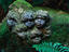 Image_5448-134