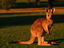 Image_5448-30