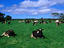 Image_5463-53