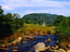 Image_5484-13