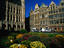 Image_5556-5