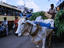 Cows are still commonly used for transportation in Andhra Pradesh, this one is carrying his own lunch through Hyderabad