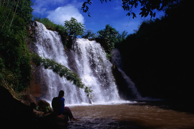 Gateway to the Cardamoms: jungle trekking at Chi Phat