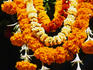 Ceremonial wedding flowers at Jain Temple on Bal Gangadhar Kher Road.