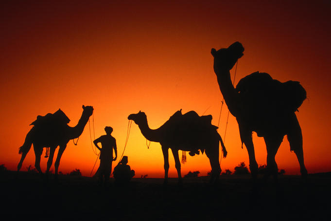 Men and camels silhouetted at sunset in Thar Desert.