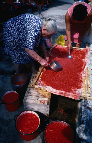 Village women following the traditional method of preparing tomato sauce for bottling - Isole Eolie (Aeolian Islands).