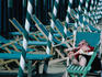 A woman taking a snooze on the old-style deckchairs along Lido beach.