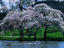 Image_5720-42