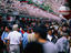 Image_5753-38