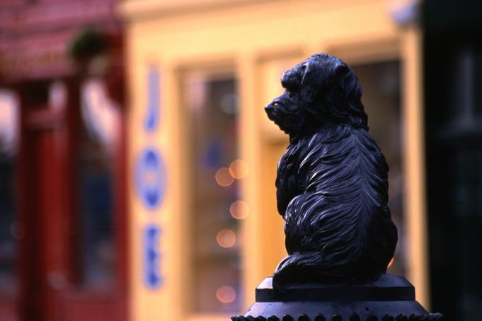 Statue of Greyfriars Bobby outside a pub near Greyfriars church (Kirk), Edinburgh. "Bobby" was a Skye terrier who kept a watch over the grave of his master, an Edinburgh police officer, from 1858 to 1872