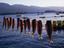 Saronic Gulf, Cyclades