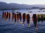 Fish being dried in the sun on the Saronic Gulf island of Poros.