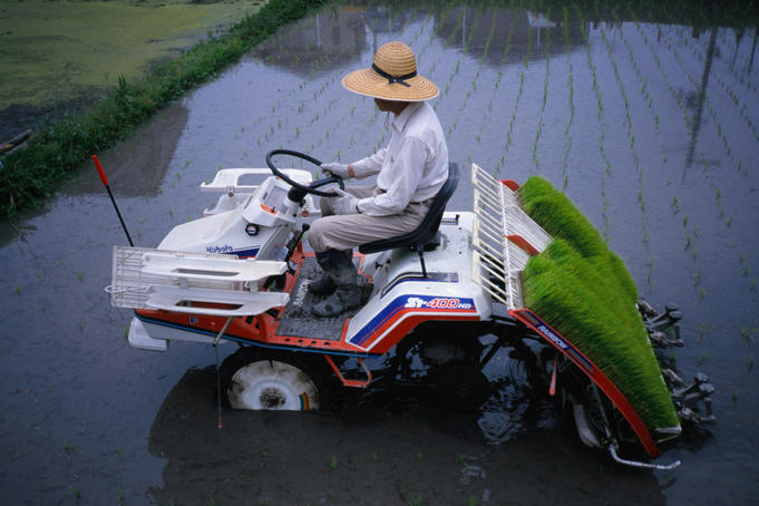 Modern farming practices for a Kyoto farmer planting rice seedlings.