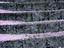 Image_5875-67