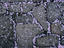Image_5875-8