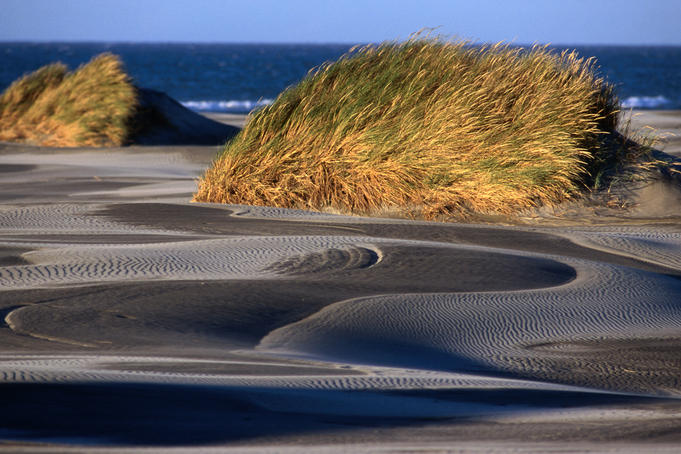 New Zealand's best spots - as picked by Lonely Planet staffers