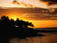 Palmtrees at sunset, Comoros