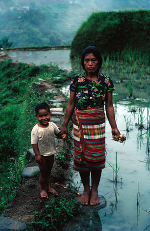 Environmental-portrait of mother and child in rice paddies.