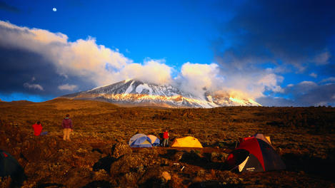 Image_603-7