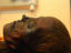 Image_6049-71