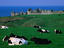 Far horizons, Jersey