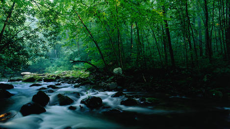 Image_6075-1