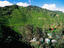 Image_61-1004