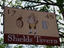 Image_6161-16