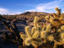 Image_6161-21