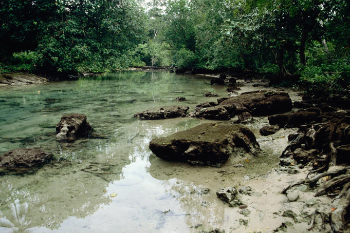 Clear-watered creek.