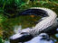 Image_619-2
