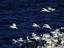 Image_6202-14
