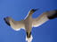 Image_6202-26