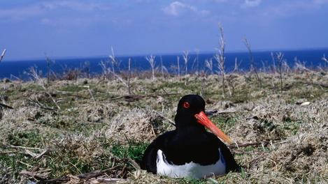 Image_6202-3