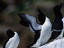 Image_6202-4