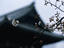 Image_6217-26