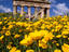 Greek temple ruins, Italy