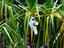 National Park, Kakadu & Arnhem Land