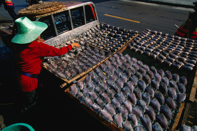 Woman sorting dried fish in Bangkok.