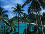 Palm ringed cove of Bottle Beach.