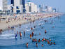 Crowds swimming in beach.