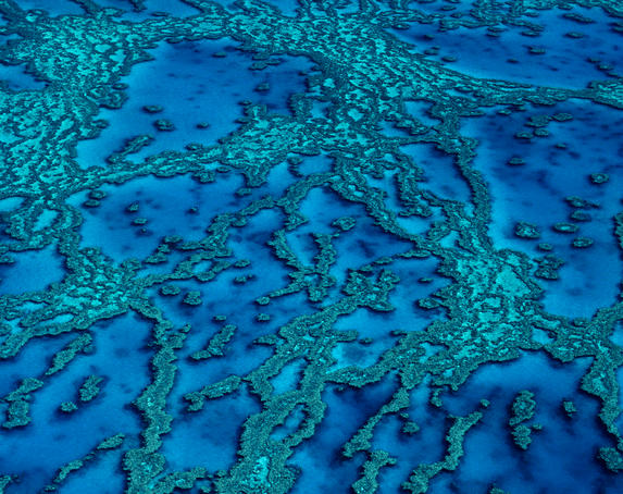 Aerial of Hardy Reef in the Whitsundays on the Great Barrier Reef.