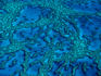 Aerial of Hardy Reef in the Whitsundays on the Great Barrier Reef.