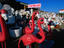 Plastic pink flamingoes, Tijuana