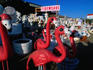 Plastic pink flamingoes for sale in Tijuana.