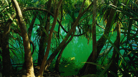 Waterhouse River, Northern Territory
