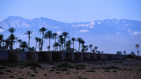 Image_6437-19